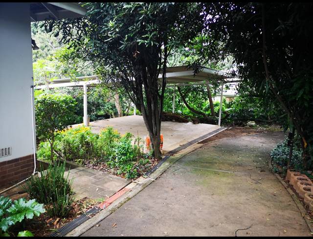 3 BEDROOM HOUSE TO LET IN SCOTTSVILLE